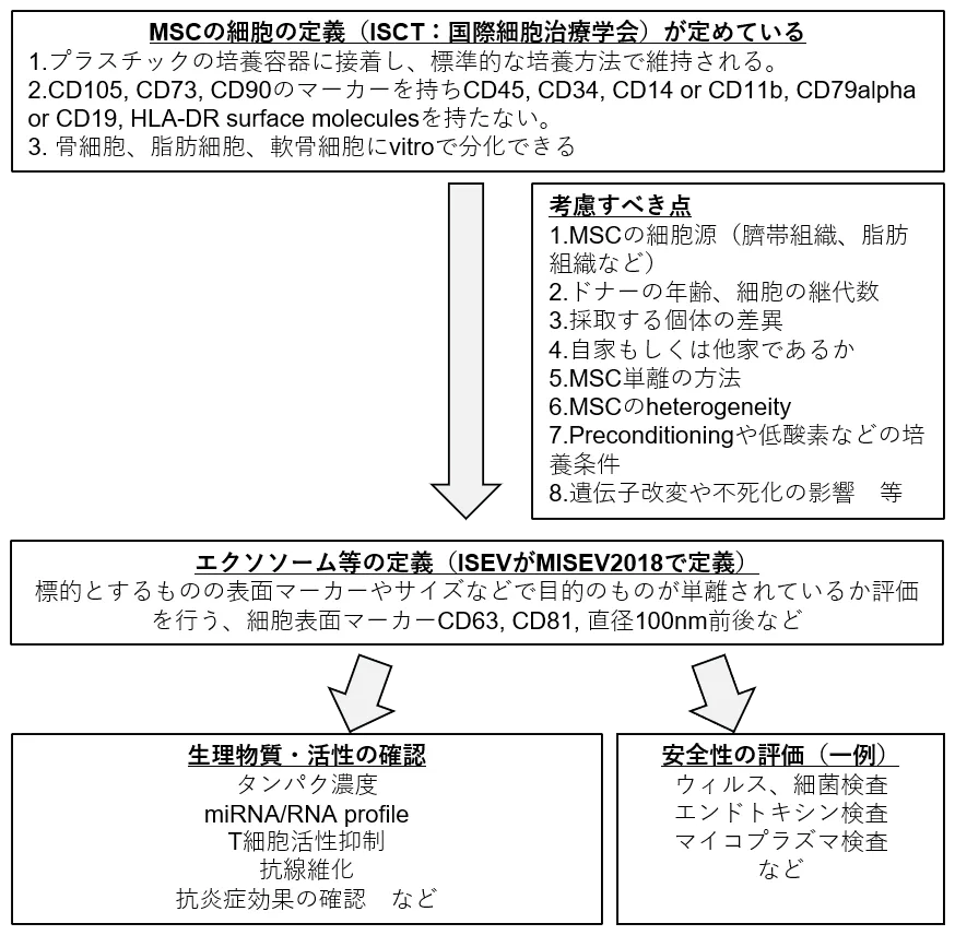 MSCエクソソームの規格・特性評価