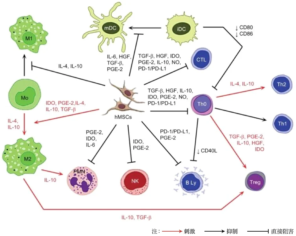 Stem Cell Res Ther