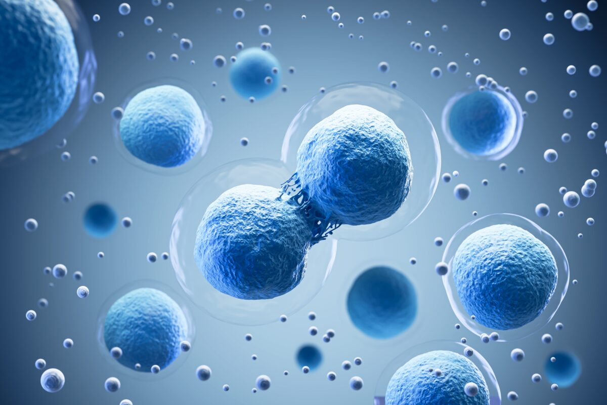 幹細胞とは何か？— 人体における役割の理解