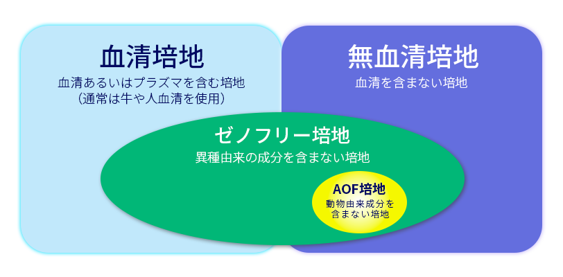 幹細胞培養のイメージ